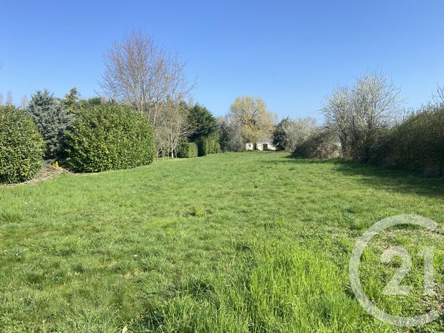 maison à vendre - 8 pièces - 137.0 m2 - MAGNY COURS - 58 - BOURGOGNE - Century 21 Confluences