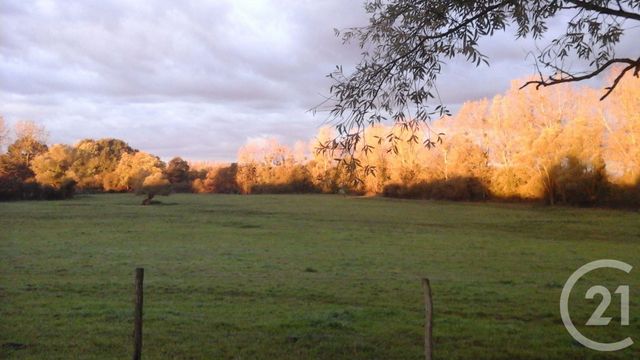 maison à vendre - 5 pièces - 203.84 m2 - TRESNAY - 58 - BOURGOGNE - Century 21 Confluences