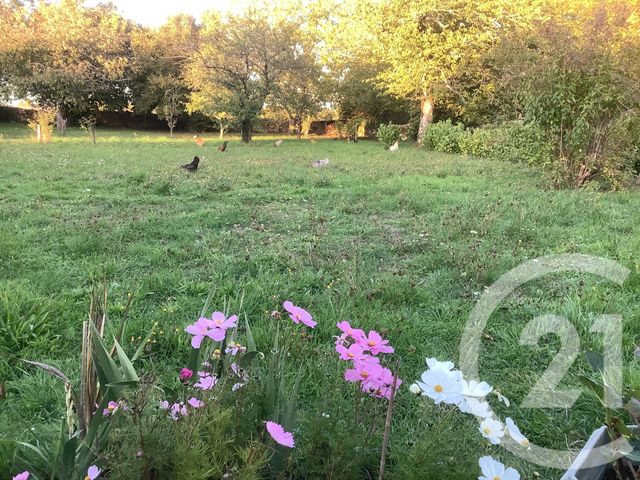 maison à vendre - 4 pièces - 90.0 m2 - NEUILLY EN DUN - 18 - CENTRE - Century 21 Confluences