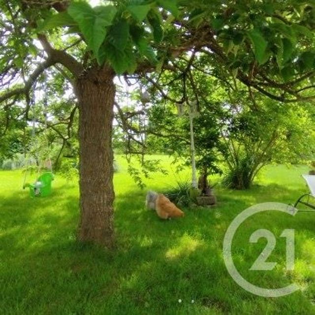 maison à vendre - 6 pièces - 150.0 m2 - SALIGNY LE VIF - 18 - CENTRE - Century 21 Confluences