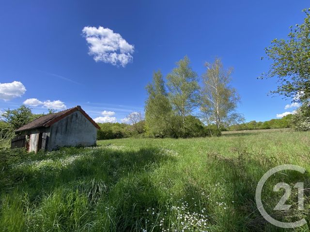 maison à vendre - 7 pièces - 179.0 m2 - LA GUERCHE SUR L AUBOIS - 18 - CENTRE - Century 21 Confluences