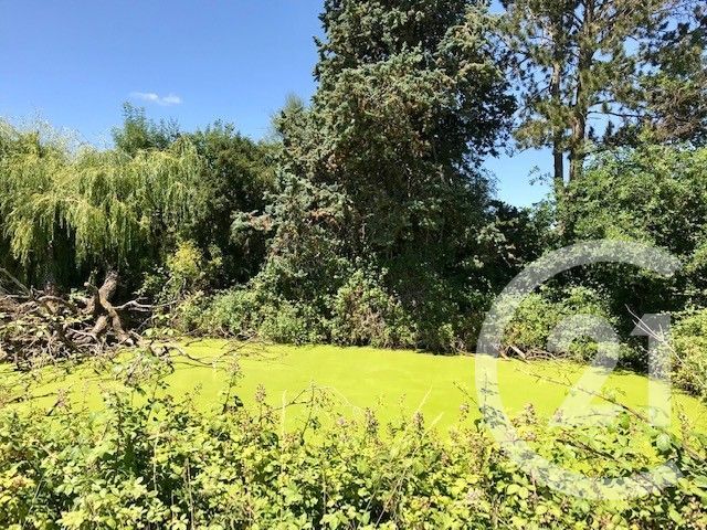 maison à vendre - 3 pièces - 146.55 m2 - IGNOL - 18 - CENTRE - Century 21 Confluences